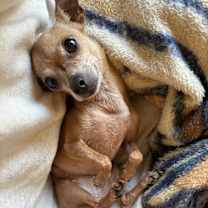 Thumbnail photo of Lil Miss Gigi #3