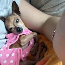 Thumbnail photo of Lil Miss Gigi #4