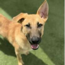 Thumbnail photo of Persia #2