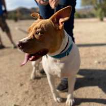 Thumbnail photo of SANDY #3