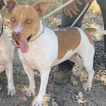 Thumbnail photo of SANDY #4