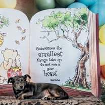 Thumbnail photo of *JACK BE LITTLE (JETT) SQUASH -- DEC 2024 #3