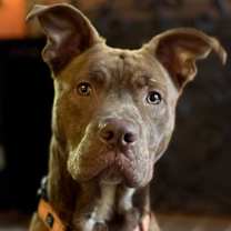 Thumbnail photo of Rucker #1