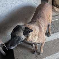 Thumbnail photo of Wendy #1