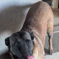 Thumbnail photo of Wendy #2