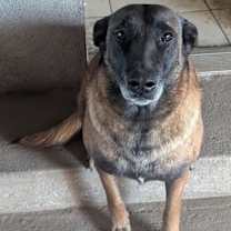 Thumbnail photo of Wendy #3