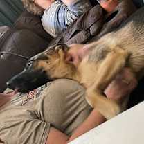 Thumbnail photo of Luna #3