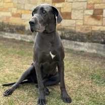 Thumbnail photo of Stormy #3