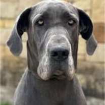 Thumbnail photo of Stormy #1