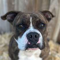 Thumbnail photo of Snoop #1