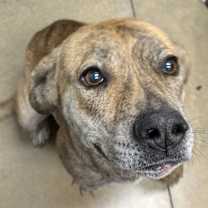 Thumbnail photo of Lyidia #1