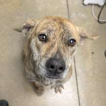 Thumbnail photo of Lyidia #4