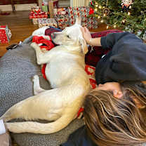 Thumbnail photo of Georgie #2