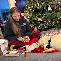 Thumbnail photo of Georgie #3
