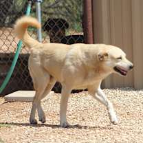 Thumbnail photo of Roger #2