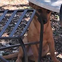 Thumbnail photo of Simon #1