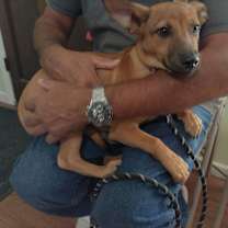 Thumbnail photo of Simon #2