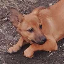 Thumbnail photo of Simon #3