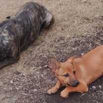 Thumbnail photo of Simon #4