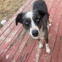 Thumbnail photo of Todd #1