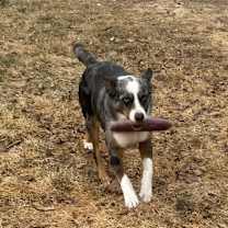 Thumbnail photo of Todd #2