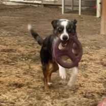 Thumbnail photo of Todd #3