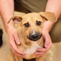 Thumbnail photo of Kai #3