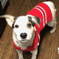 Thumbnail photo of Bless #3