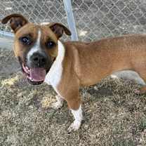 Thumbnail photo of Fiona #1