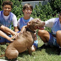 Thumbnail photo of Koko #1