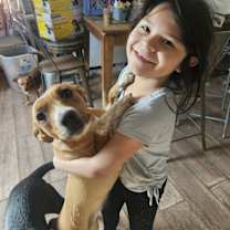 adopt-pet