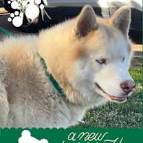 Thumbnail photo of Hennessy #4