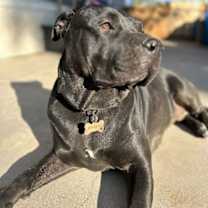 Thumbnail photo of Muneca #1