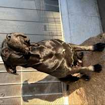 Thumbnail photo of Muneca #2