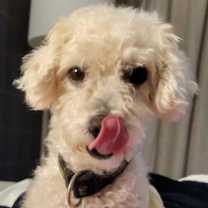 Thumbnail photo of Hilton #2