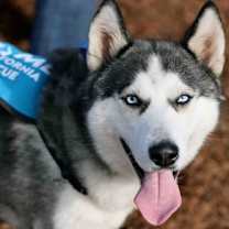 Thumbnail photo of Casper #1