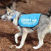 Thumbnail photo of Casper #4