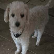 Thumbnail photo of Hilton #3