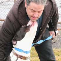 Thumbnail photo of XANDER (GREAT WALKER) #2