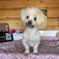 Thumbnail photo of Nieve #1