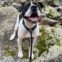 Thumbnail photo of Cooper Lizman #4