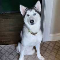 Thumbnail photo of Bronx (TX) #4