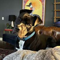 Thumbnail photo of Smokey Bear #1