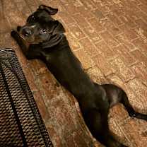 Thumbnail photo of Smokey Bear #2