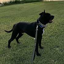 Thumbnail photo of Smokey Bear #3