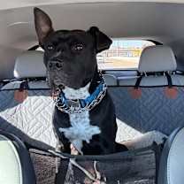 Thumbnail photo of Smokey Bear #4