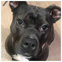 Thumbnail photo of Regan #2