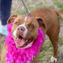 Thumbnail photo of Audrey #1