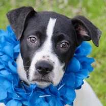 Thumbnail photo of Travis Kelce #2