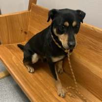 Thumbnail photo of McGraw #2